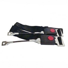 Cinturon Seguridad Delant.c/baston X2 Largo