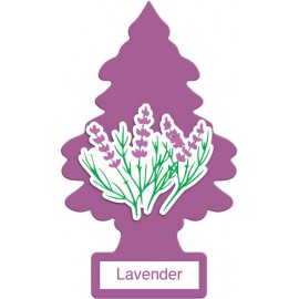 Car- Pino U.s.a Lavender